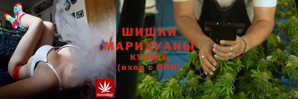 дурь Ладушкин